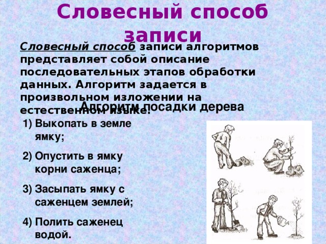 Словесный способ записи Словесный способ записи алгоритмов представляет собой описание последовательных этапов обработки данных. Алгоритм задается в произвольном изложении на естественном языке. Алгоритм посадки дерева Выкопать в земле ямку; Опустить в ямку корни саженца; Засыпать ямку с саженцем землей; Полить саженец водой. 