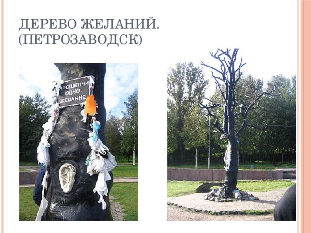 Дерево желаний. (Петрозаводск) 