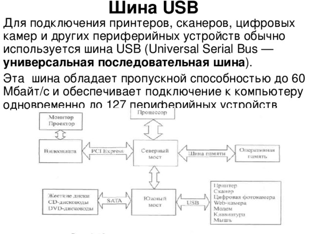 Шина USB Для подключения принтеров, сканеров, цифровых камер и других периферийных устройств обычно используется шина USB ( Universal Serial Bus — универсальная последовательная шина ). Эта шина обладает пропускной способностью до 60 Мбайт/с и обеспечивает подключение к компьютеру одновременно до 127 периферийных устройств 