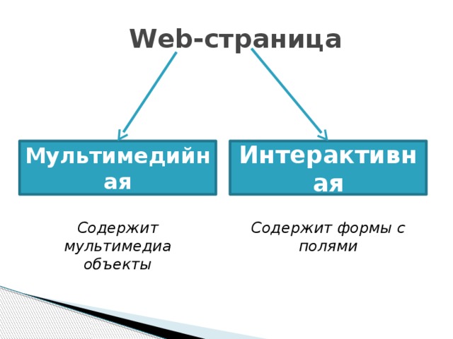 Web-страница Мультимедийная Интерактивная Содержит мультимедиа объекты Содержит формы с полями 