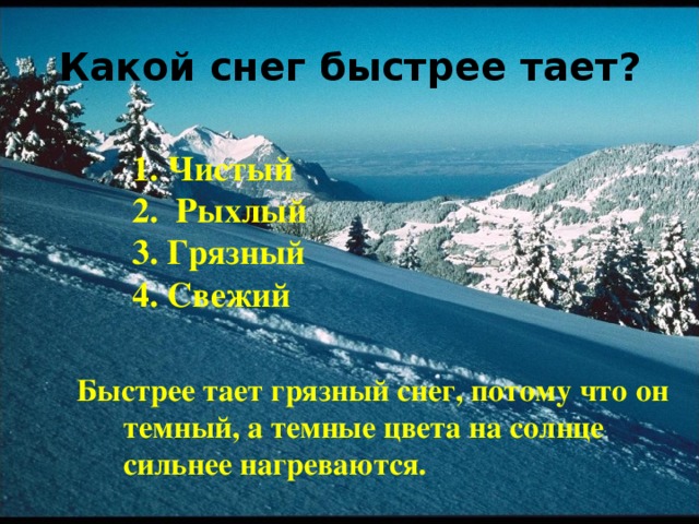  Кто летает быстрее :  пингвин  или  птица–киви  ? 