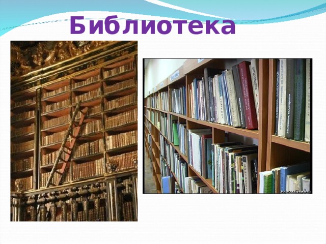 Библиотека 