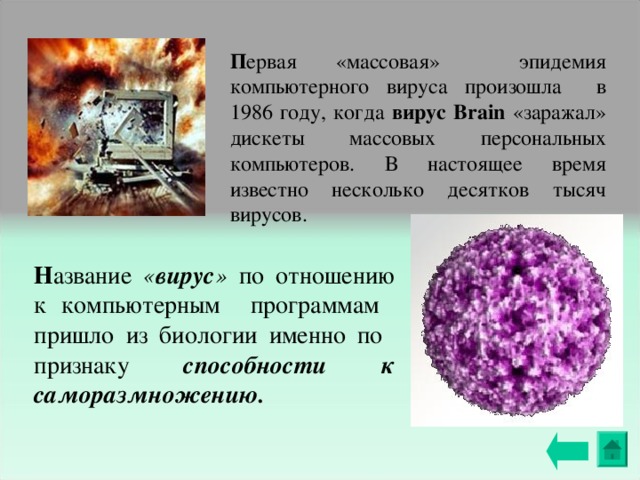 П ервая «массовая» эпидемия компьютерного вируса произошла в 1986 году, когда вирус Brain «заражал» дискеты массовых персональных компьютеров. В настоящее время известно несколько десятков тысяч вирусов. Н азвание « вирус » по отношению к компьютерным программам пришло из биологии именно по признаку способности к  саморазмножению.  