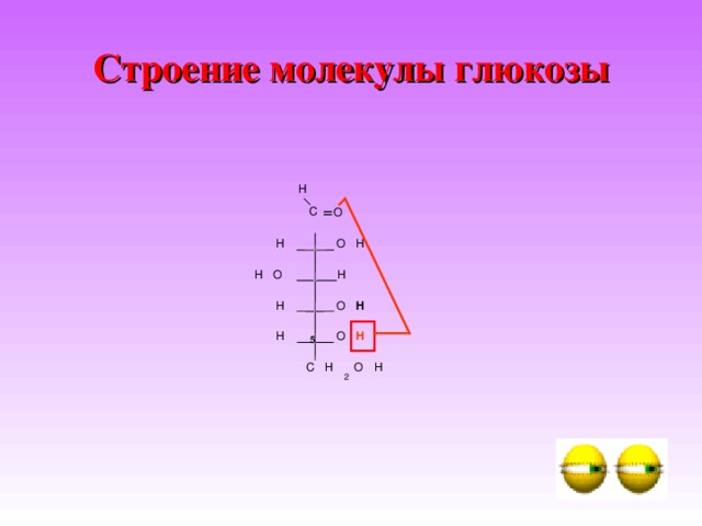 Строение молекулы глюкозы H C O = O H H H H O H H O 5 O H H H O H C 2 