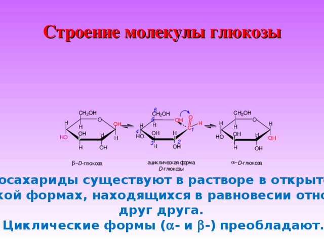 Строение молекулы глюкозы 6 C H O H C O H H H C O H 2 2 2 O O 5 O H O H H H H H O H H H H C 1 4 O H H H O O H H H H O O H O H H O H 2 3 H O H H H O H O H   я а м р о ф а к с е ч и л к и ц а г D - а л ю к о з   л а з о к ю D - г г ы з D - л ю к о Моносахариды существуют в растворе в открытой и циклической формах, находящихся в равновесии относительно друг друга. Циклические формы (  - и  -) преобладают. 