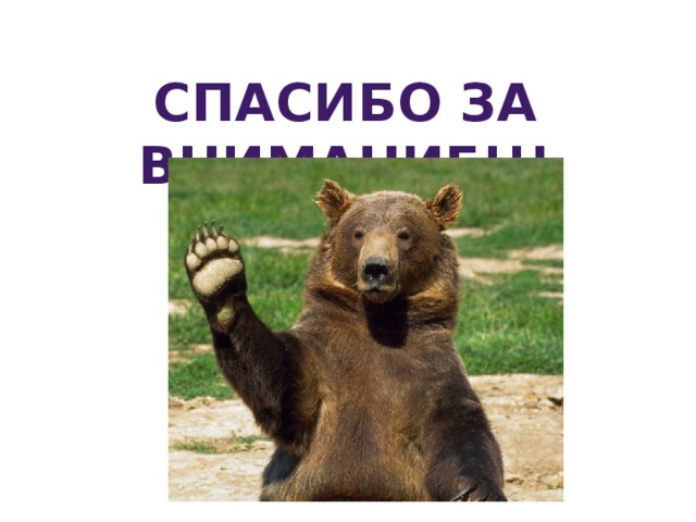 СПАСИБО ЗА ВНИМАНИЕ!!! 