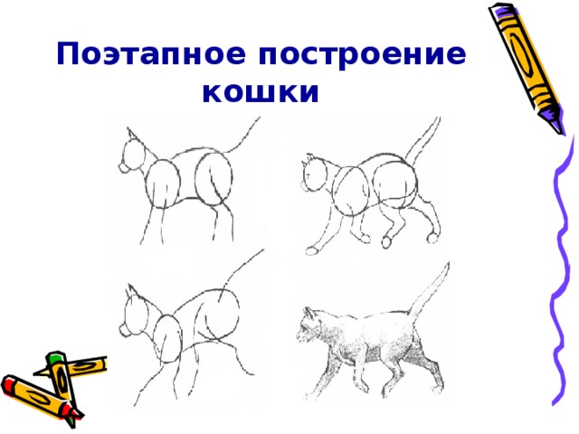 Поэтапное построение кошки 