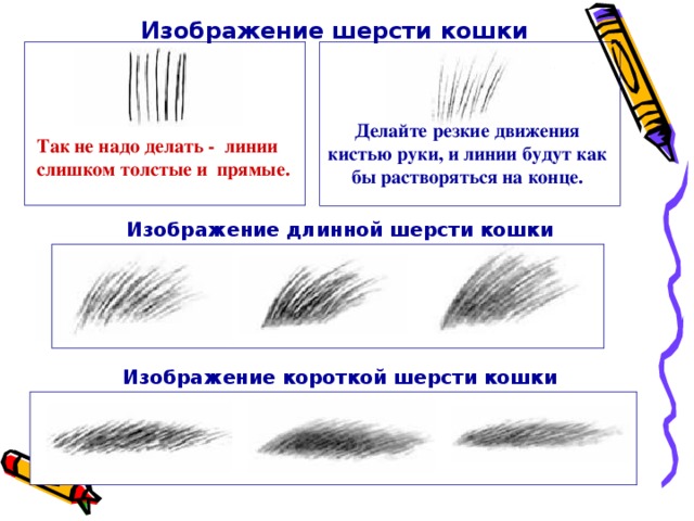 Изображение шерсти кошки Делайте резкие движения кистью руки, и линии будут как бы растворяться на конце. Так не надо делать - линии слишком толстые и прямые. Изображение длинной шерсти кошки Изображение короткой шерсти кошки 