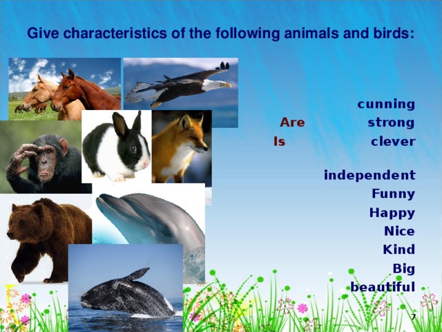 Give characteristics of the following animals and birds:     cunning Are strong Is clever  independent Funny Happy Nice Kind Big beautiful  