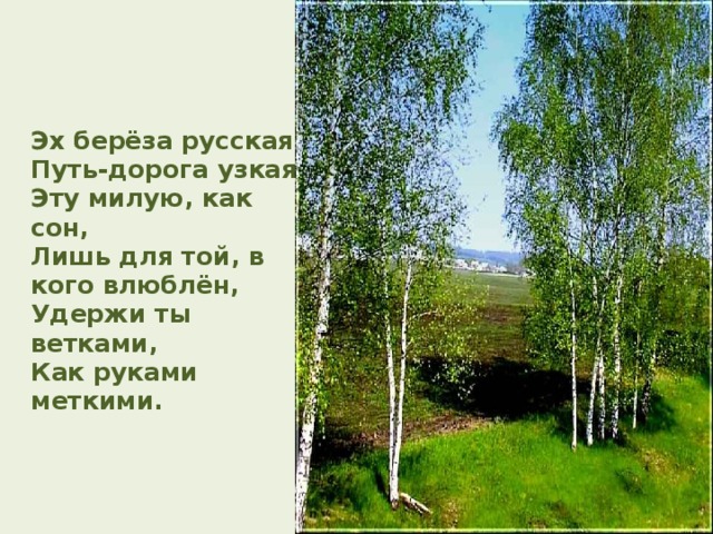  Эх  берёза русская!  Путь-дорога узкая.  Эту милую,  как сон,  Лишь для той, в кого влюблён,  Удержи ты ветками,  Как руками меткими. 