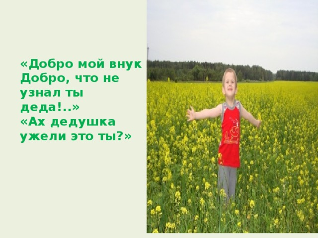  «Добро  мой внук  Добро,  что не узнал ты деда!..»  «Ах  дедушка ужели это ты?»   