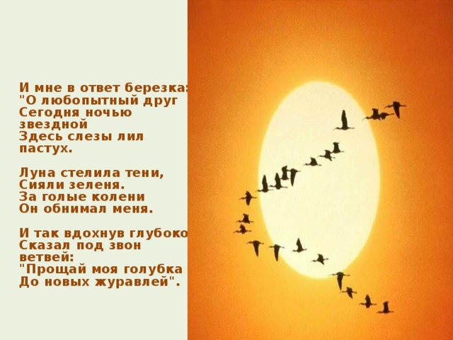  И мне в ответ березка:  