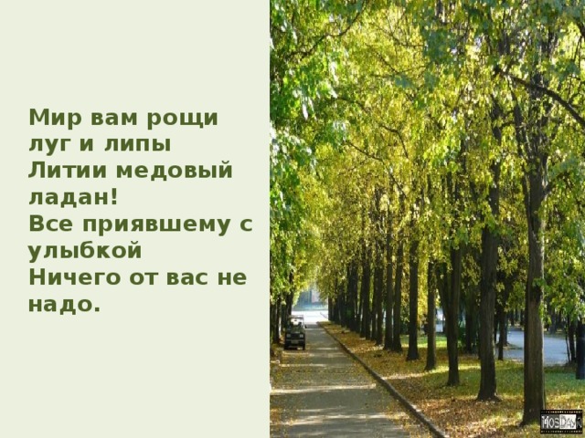  Мир вам рощи луг и липы  Литии медовый ладан!  Все приявшему с улыбкой  Ничего от вас не надо. 