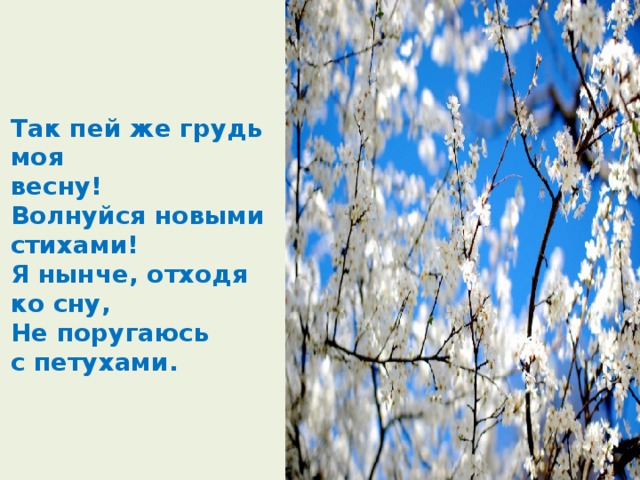  Так пей же  грудь моя  весну!  Волнуйся новыми  стихами!  Я нынче, отходя ко сну,  Не поругаюсь  с петухами. 