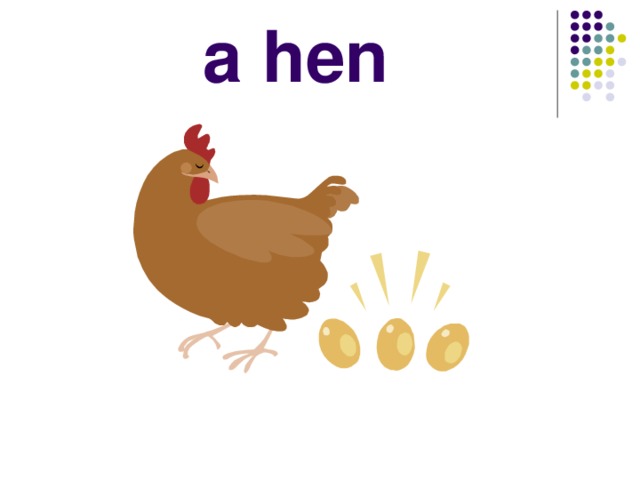 a hen 