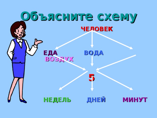 Объясните схему  ЧЕЛОВЕК   ЕДА  ВОДА   ВОЗДУХ  5   НЕДЕЛЬ  ДНЕЙ  МИНУТ 