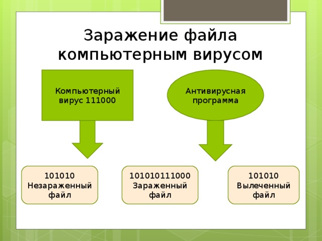 Заражение файла компьютерным вирусом Компьютерный вирус 111000 Антивирусная программа 101010 Незараженный файл 101010111000 Зараженный файл 101010 Вылеченный файл 