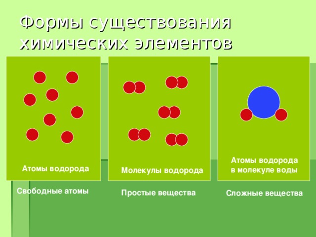 Формы существования химических элементов Атомы водорода в молекуле воды Атомы водорода Молекулы водорода Свободные атомы Простые вещества Сложные вещества 