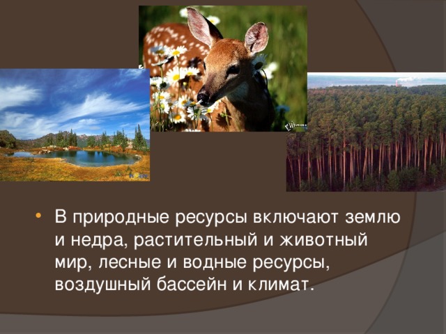В природные ресурсы включают землю и недра, растительный и животный мир, лесные и водные ресурсы, воздушный бассейн и климат. 