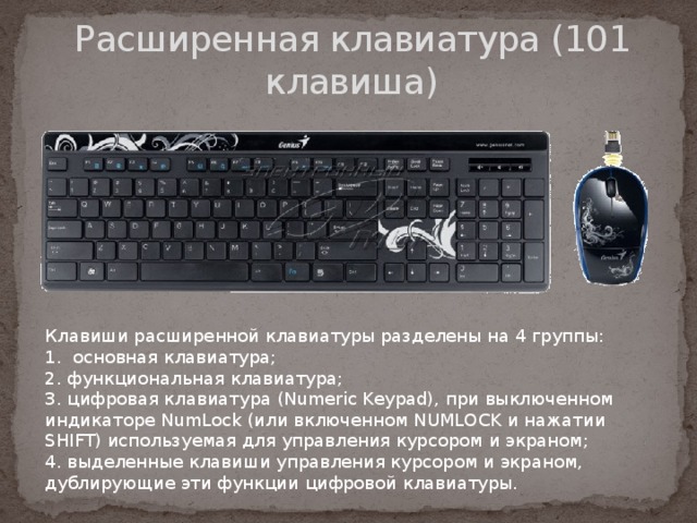 Расширенная клавиатура (101 клавиша) Клавиши расширенной клавиатуры разделены на 4 группы: 1. основная клавиатура;  2. функциональная клавиатура;  3. цифровая клавиатура (Numeric Keypad), при выключенном индикаторе NumLock (или включенном NUMLOCK и нажатии SHIFT) используемая для управления курсором и экраном;  4. выделенные клавиши управления курсором и экраном, дублирующие эти функции цифровой клавиатуры. 