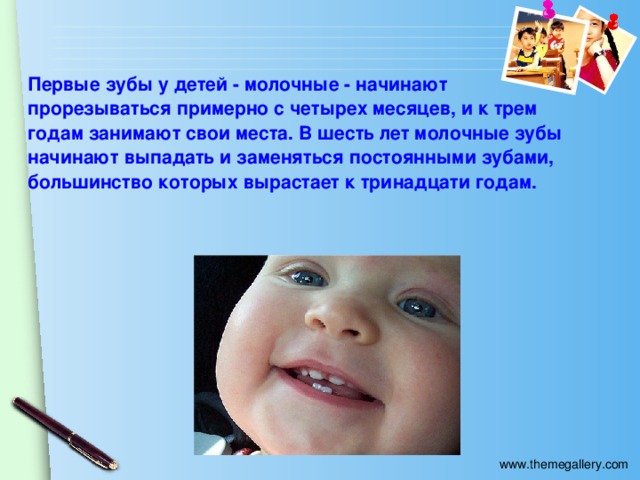  Первые зубы у детей - молочные - начинают прорезываться примерно с четырех месяцев, и к трем годам занимают свои места. В шесть лет молочные зубы начинают выпадать и заменяться постоянными зубами, большинство которых вырастает к тринадцати годам.   