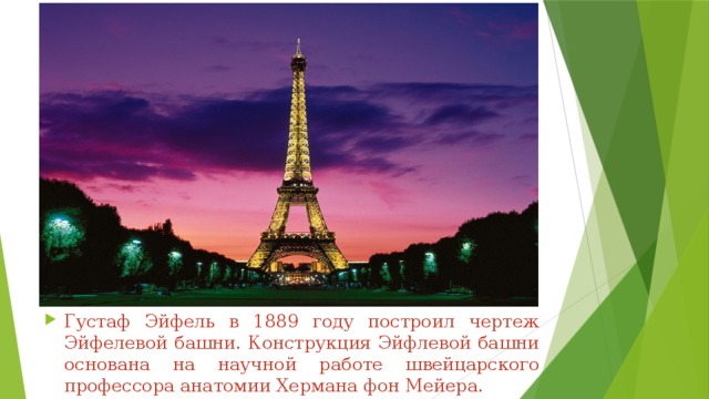 Густаф Эйфель в 1889 году построил чертеж Эйфелевой башни. Конструкция Эйфлевой башни основана на научной работе швейцарского профессора анатомии Хермана фон Мейера. 