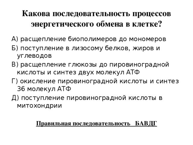 Какова последовательность процессов энергетического обмена в клетке? А) расщепление биополимеров до мономеров Б) поступление в лизосому белков, жиров и углеводов В) расщепление глюкозы до пировиноградной кислоты и синтез двух молекул АТФ Г) окисление пировиноградной кислоты и синтез 36 молекул АТФ Д) поступление пировиноградной кислоты в митохондрии  Правильная последовательность БАВДГ 