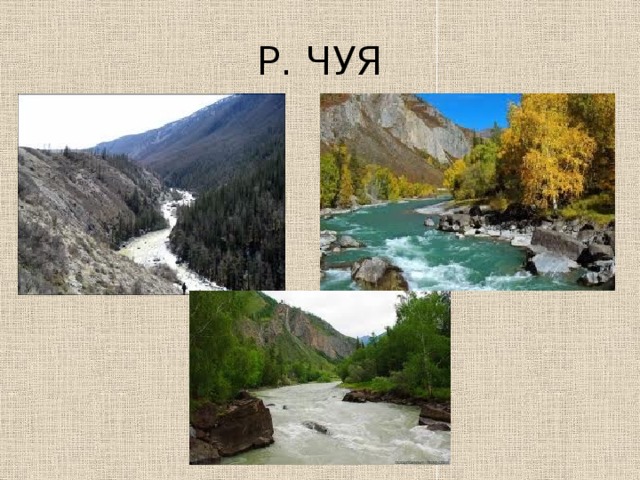 Р. ЧУЯ 