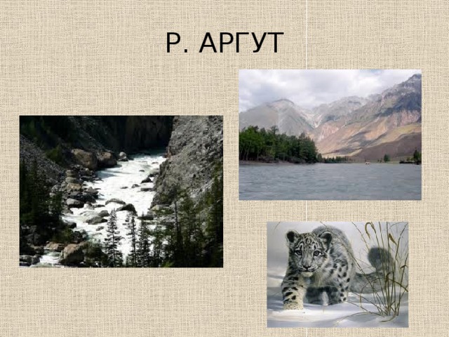 Р. АРГУТ 