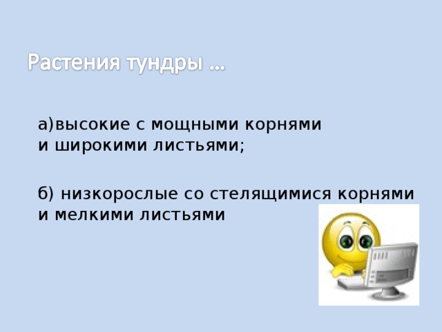а)высокие с мощными корнями и широкими листьями; б) низкорослые со стелящимися корнями и мелкими листьями 
