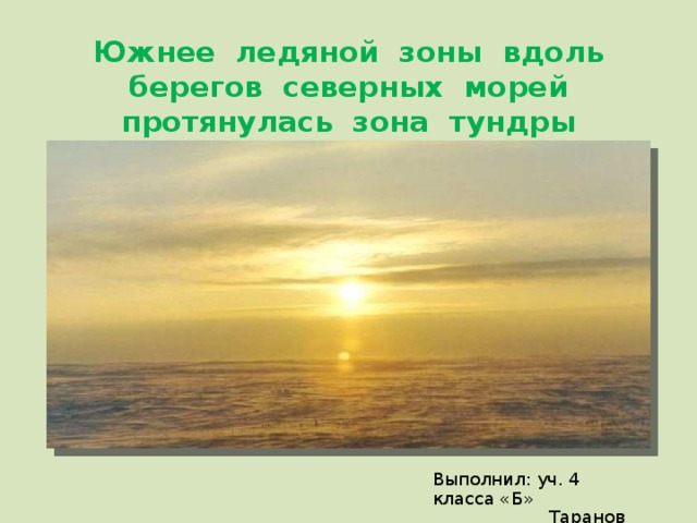 Южнее ледяной зоны вдоль берегов северных морей протянулась зона тундры   Выполнил: уч. 4 класса «Б»  Таранов Андрей 