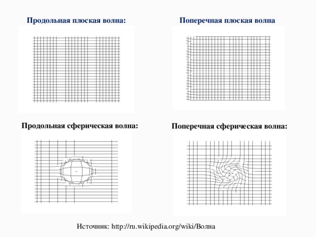 Продольная плоская волна: Поперечная плоская волна Продольная сферическая волна: Поперечная сферическая волна: Источник : http://ru.wikipedia.org/wiki/ Волна 