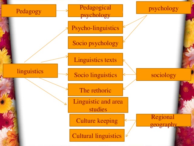 psychology Pedagogy Pedagogical psychology Psycho-linguistics Socio psychology Linguistics texts linguistics sociology Socio linguistics The rethoric Linguistic and area studies Regional geography Culture keeping Cultural linguistics 