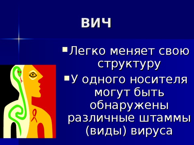 ВИЧ Легко меняет свою структуру У одного носителя могут быть обнаружены различные штаммы (виды) вируса 