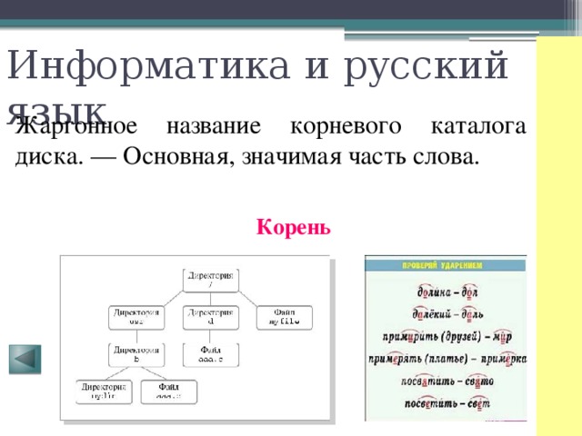 Информатика и русский язык Жаргонное название корневого каталога диска. — Основная, значимая часть слова. Корень 
