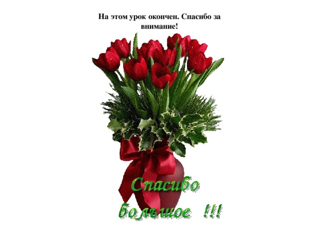 На этом урок окончен. Спасибо за внимание! 