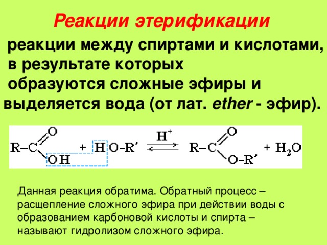 Реакции этерификации      реакции между спиртами и кислотами,  в результате которых  образуются сложные эфиры и выделяется вода (от лат. ether - эфир).  Данная реакция обратима. Обратный процесс – расщепление сложного эфира при действии воды с образованием карбоновой кислоты и спирта – называют гидролизом сложного эфира. 