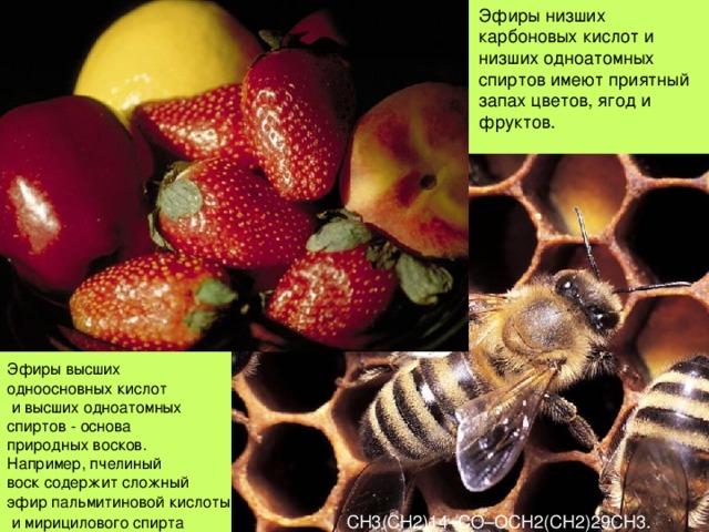 Эфиры низших карбоновых кислот и низших одноатомных спиртов имеют приятный запах цветов, ягод и фруктов. Эфиры высших одноосновных кислот  и высших одноатомных спиртов - основа природных восков. Например, пчелиный воск содержит сложный эфир пальмитиновой кислоты  и мирицилового спирта CH3(CH2)14–CO–OCH2(CH2)29CH3. 