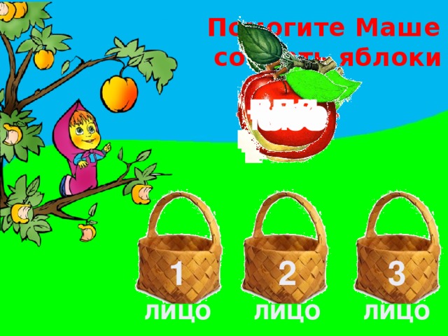 Помогите Маше  собрать яблоки вас ими мне вы нам оно тебе его я 2 1 3 лицо лицо лицо 