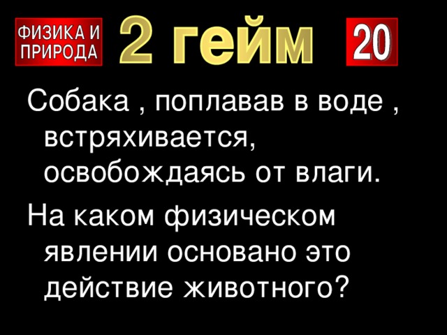 Собака , поплавав в воде , встряхивается, освобождаясь от влаги. На каком физическом явлении основано это действие животного? 