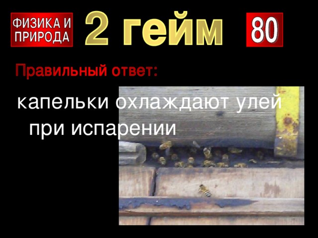капельки охлаждают улей при испарении 