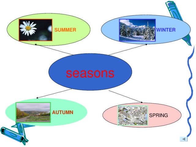 SUMMER WINTER seasons AUTUMN SPRING 