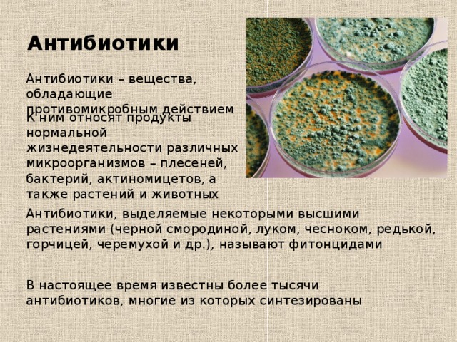 Антибиотики Антибиотики – вещества, обладающие противомикробным действием К ним относят продукты нормальной жизнедеятельности различных микроорганизмов – плесеней, бактерий, актиномицетов, а также растений и животных Антибиотики, выделяемые некоторыми высшими растениями (черной смородиной, луком, чесноком, редькой, горчицей, черемухой и др.), называют фитонцидами В настоящее время известны более тысячи антибиотиков, многие из которых синтезированы 