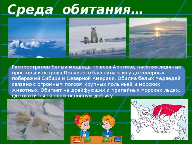 Среда обитания… Распространён белый медведь по всей Арктике, населяя ледяные просторы и острова Полярного бассейна к югу до северных побережий Сибири и Северной Америки. Обилие белых медведей связано с огромным поясом крупных полыньей и морских животных. Обитает на дрейфующих и припайных морских льдах, где охотится на свою основную добычу. 