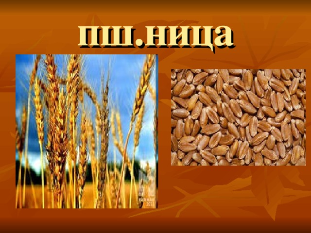 пш.ница 