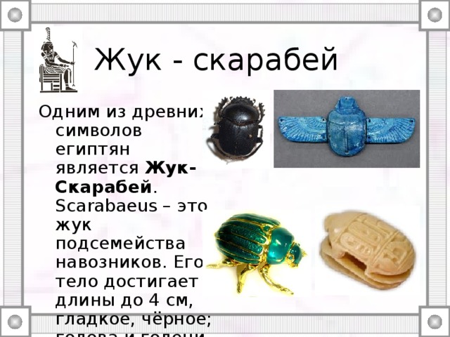 Жук - скарабей Одним из древних символов египтян является Жук-Скарабей . Scarabaeus – это жук подсемейства навозников. Его тело достигает длины до 4 см, гладкое, чёрное; голова и голени передних ног с крупными зубцами. 