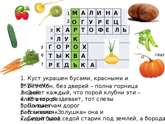 А Л И А М Н     1 2 О Ц Е Р У Г Т Р Ь А Е О Л Ф К 3 У 4 Л К О О Х Г Р 5 Т Ы В А К 6 7 Р К А Ь Д Е 1. Куст украшен бусами, красными и вкусными. 2. Без окон, без дверей – полна горница людей. 3. Знает каждый, что порой клубни эти – хлеб второй . 4. Кто его раздевает, тот слезы проливает . 5. По тысячам дорог рассыпался… 6. В сказке «Золушка» она и каретой была. 7. Сидит злой седой старик под землей, а борода – снаружи . 