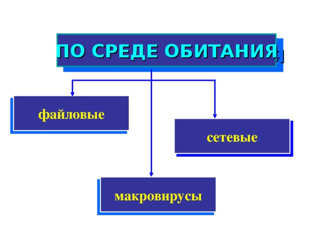 ПО СРЕДЕ ОБИТАНИЯ файловые сетевые макровирусы  