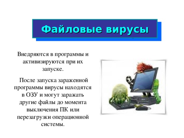 Файловые вирусы Внедряются в программы и активизируются при их запуске.  После запуска зараженной программы вирусы находятся в ОЗУ и могут заражать другие файлы до момента выключения ПК или перезагрузки операционной системы.  