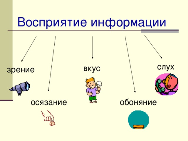Восприятие информации слух вкус зрение обоняние осязание 